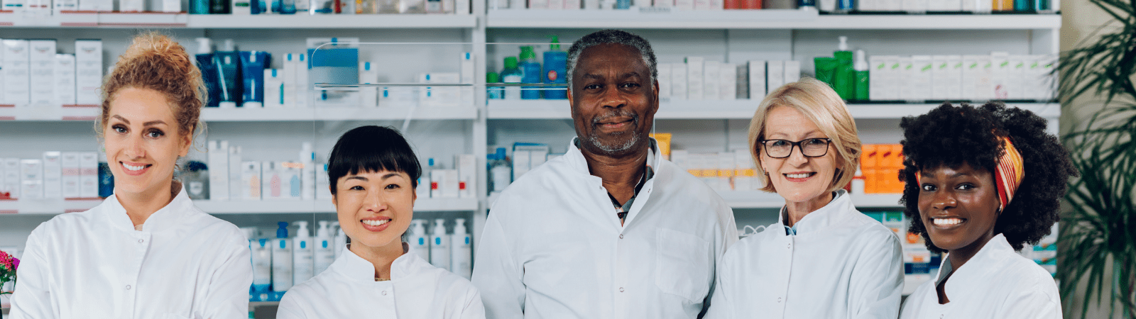 Multiple Authentication Widget Image